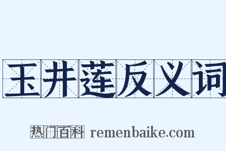 玉井莲反义词是什么意思的图片